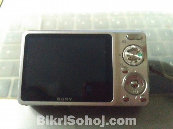 Sony Cybershot DSC-W220 (Carl Zeiss)